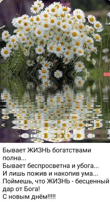 Кафе "У пани Сони"
