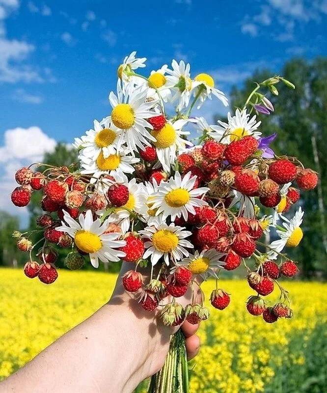 Кафе "У пани Сони"