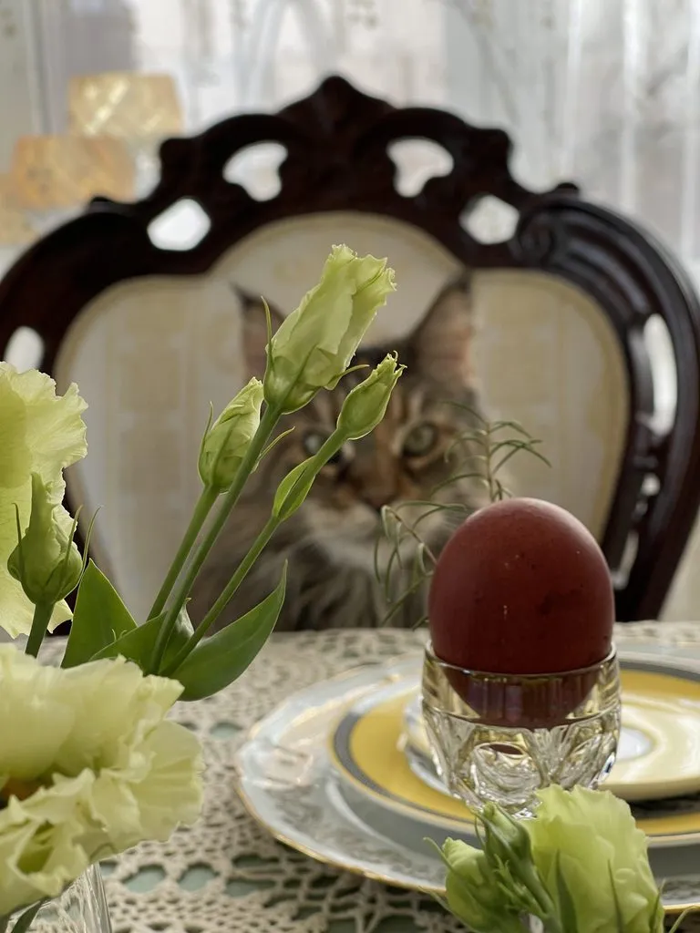 Что Вы сейчас едите? Фотоблог с вашего стола