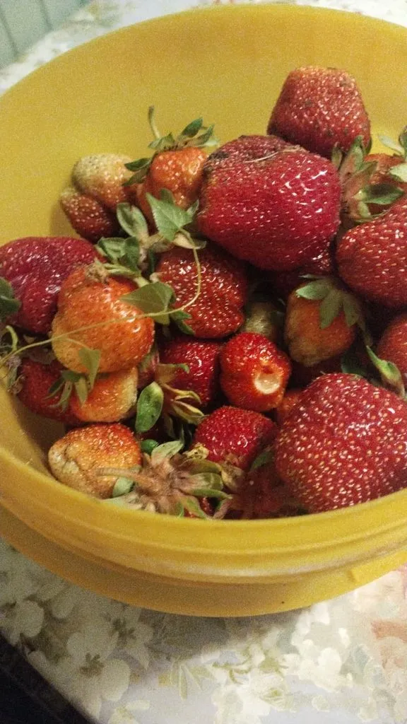 Чайная беседка