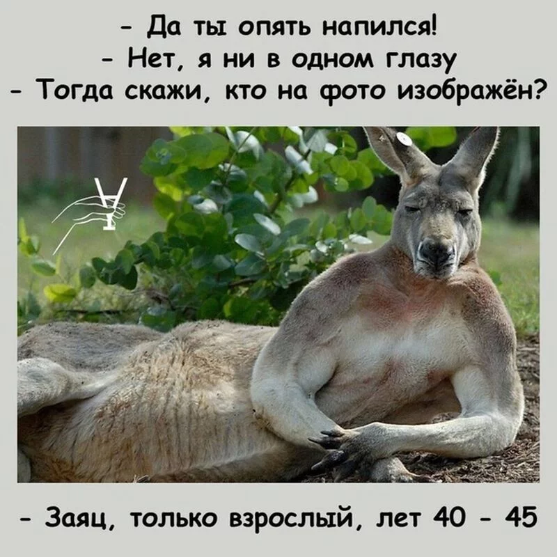 Посмеялся сам - поделись с другом!!!