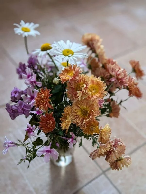 Tapтaлeтки & Ко