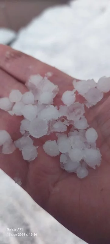 Чайная беседка