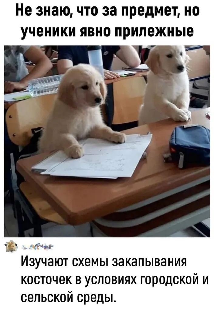 Посмеялся сам - поделись с другом!!!