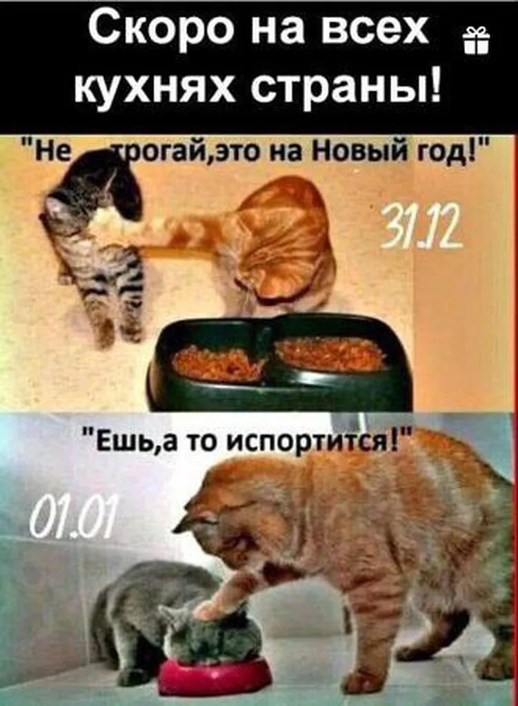 Посмеялся сам - поделись с другом!!!
