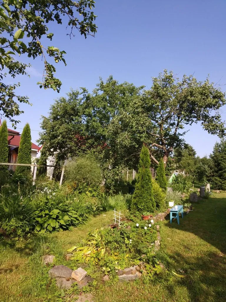 Чайная беседка