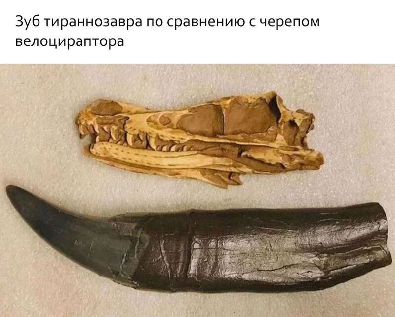 Это интересно!