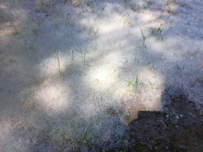 Фотонастроение