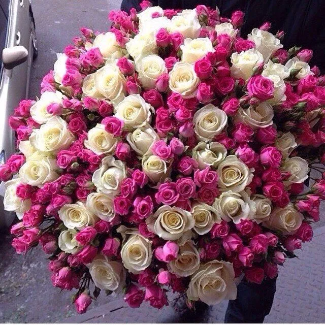 Tapтaлeтки & Ко