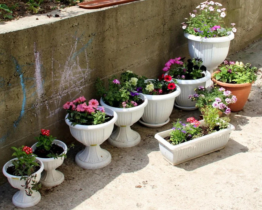 Чайная беседка