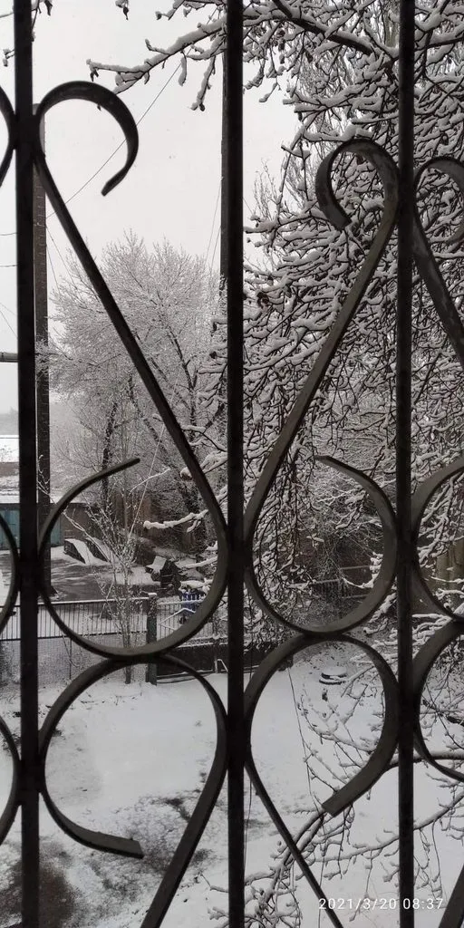 Tapтaлeтки & Ко