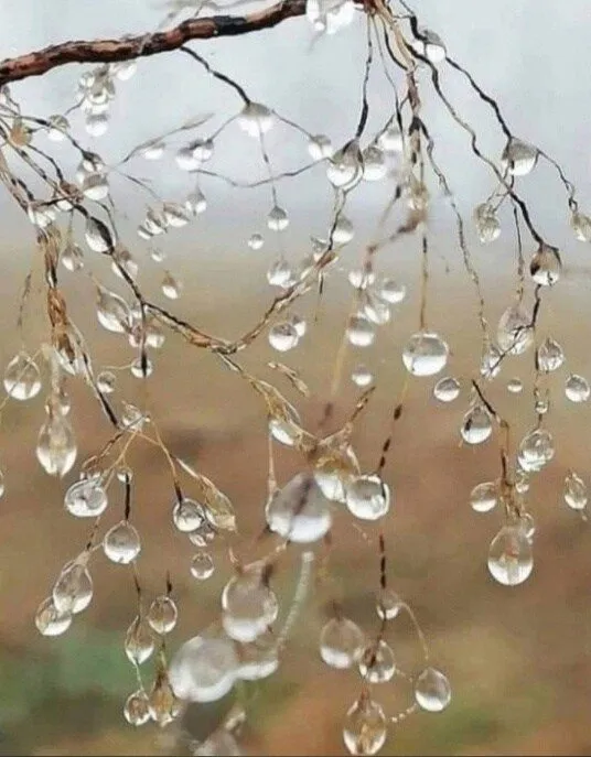 Фотонастроение