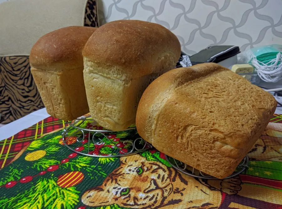 «Вечные дрожжи», картофельно-хмелевые  (Закваска без муки). Рецепты выпечки.
