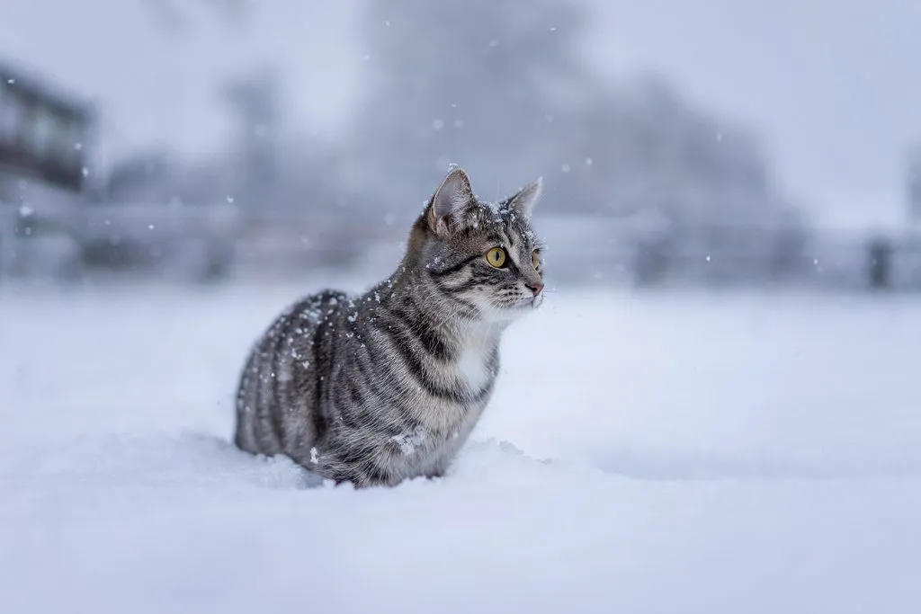 Рассказы для души