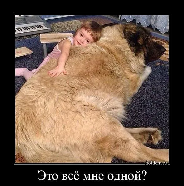 Посмеялся сам - поделись с другом!!!