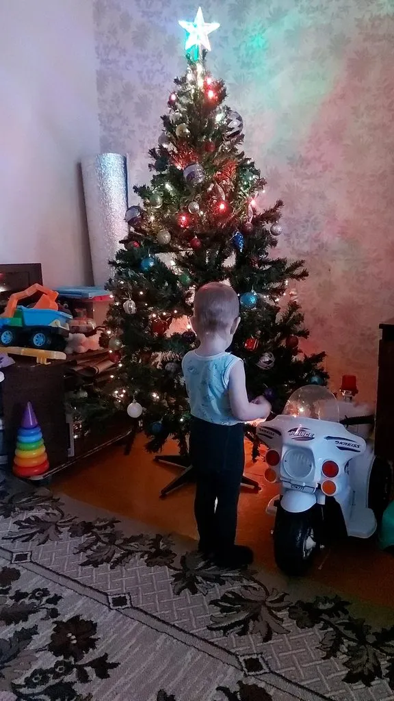 Tapтaлeтки & Ко