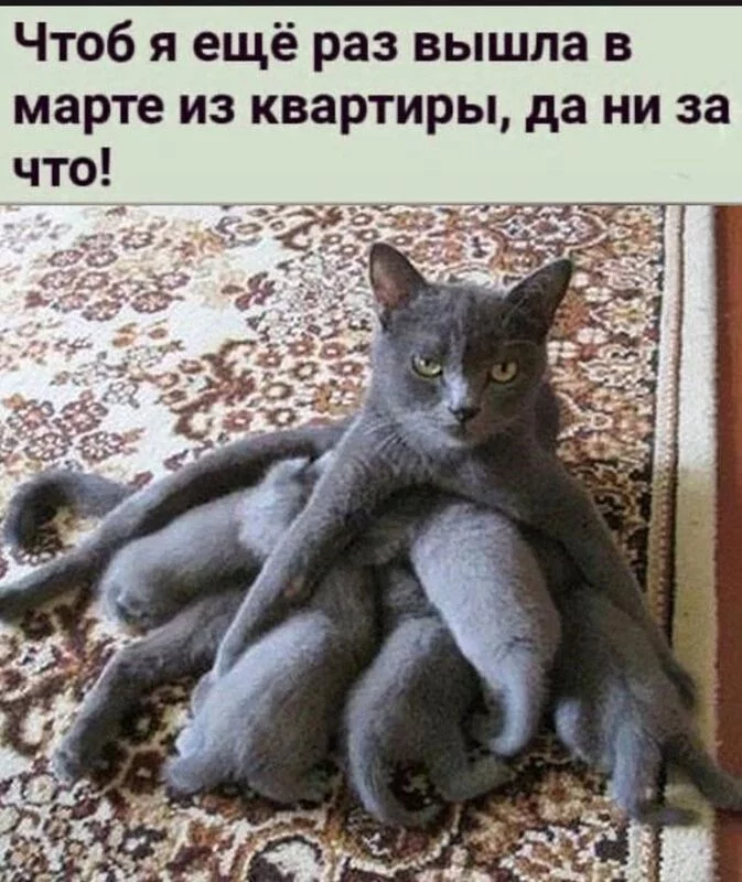 Посмеялся сам - поделись с другом!!!