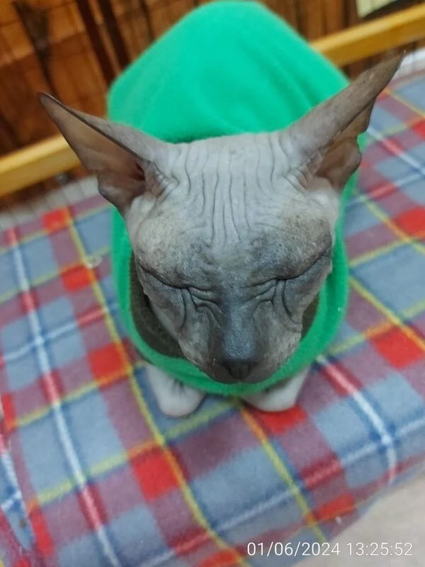 Чайная беседка