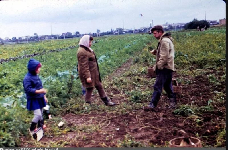 Коломенское