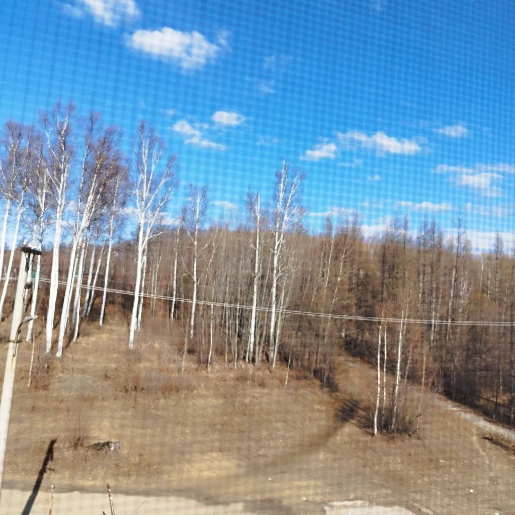 Чайная беседка