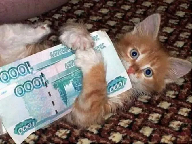 Рассказы для души