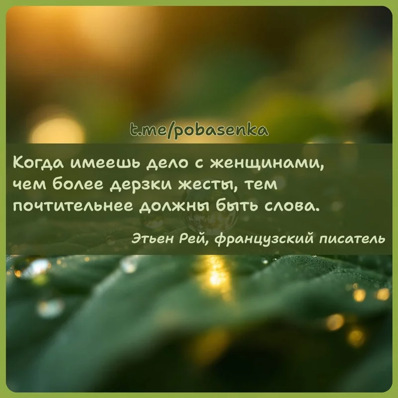 «Когда имеешь дело с женщинами, чем более дерзки жесты, тем почтительнее должны быть...» height="550" width="550"