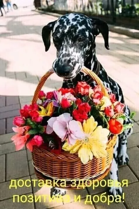 Tapтaлeтки & Ко