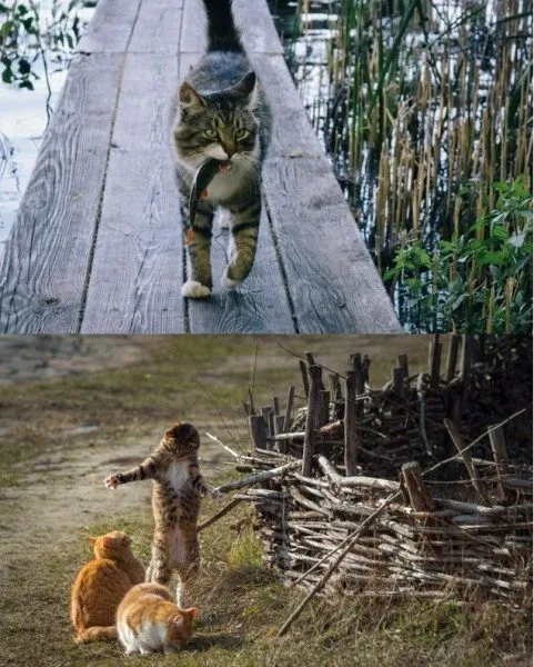 Посмеялся сам - поделись с другом!!!