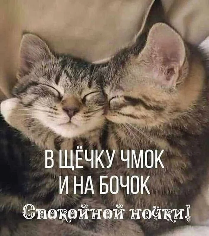 Кафе "У пани Сони"
