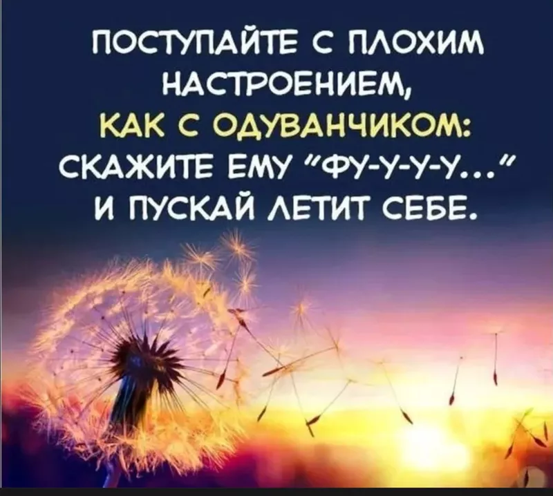 Позитивчик (фото, видео, рассказы для хорошего настроения)