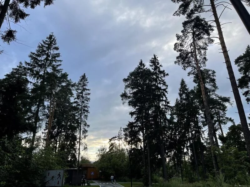 Чайная беседка