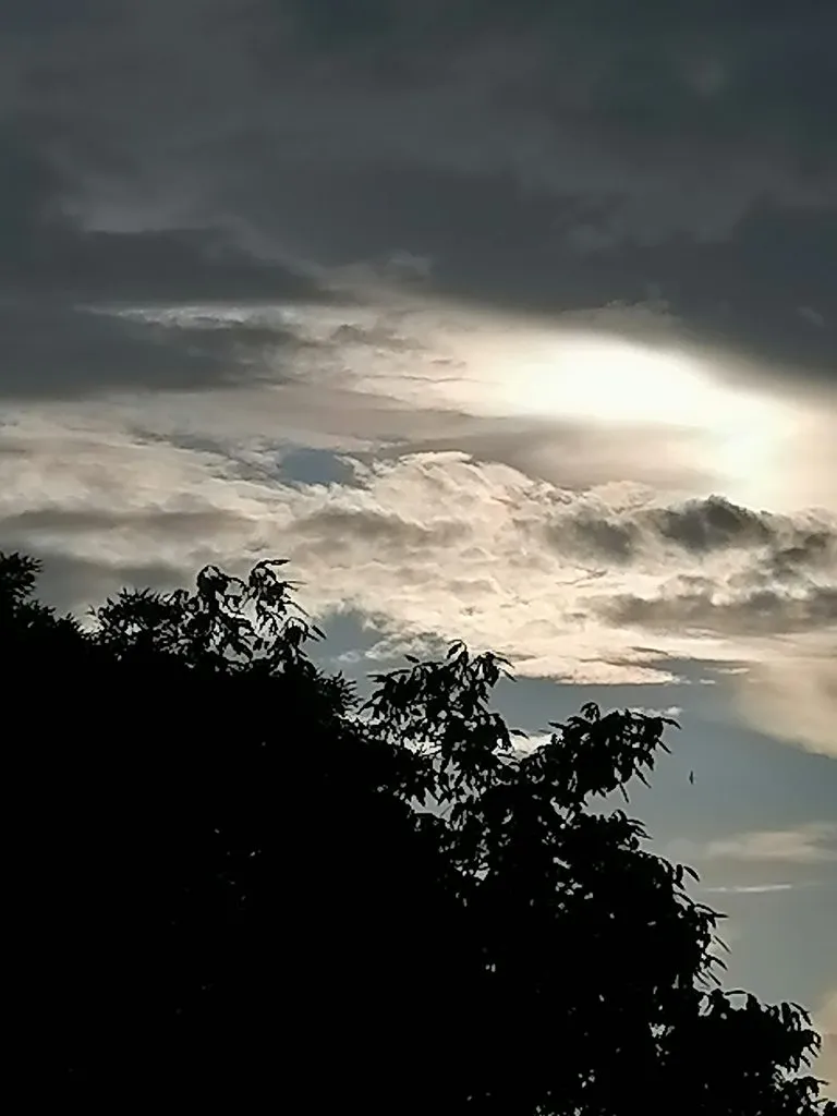 Чайная беседка