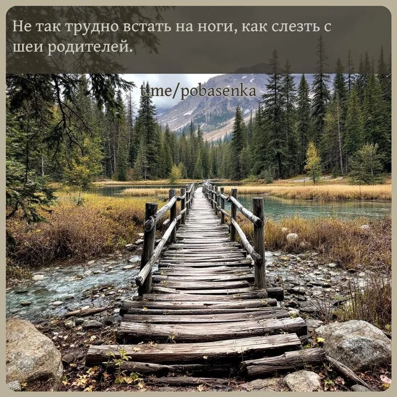«Не так трудно встать на ноги, как слезть с шеи...» height="550" width="550"