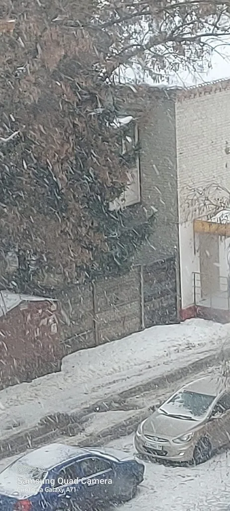 Tapтaлeтки & Ко