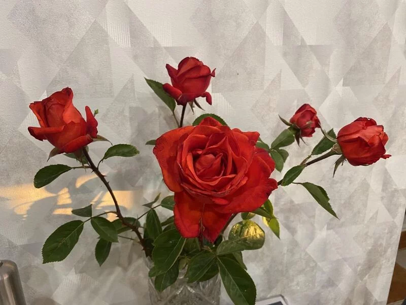 Чайная беседка