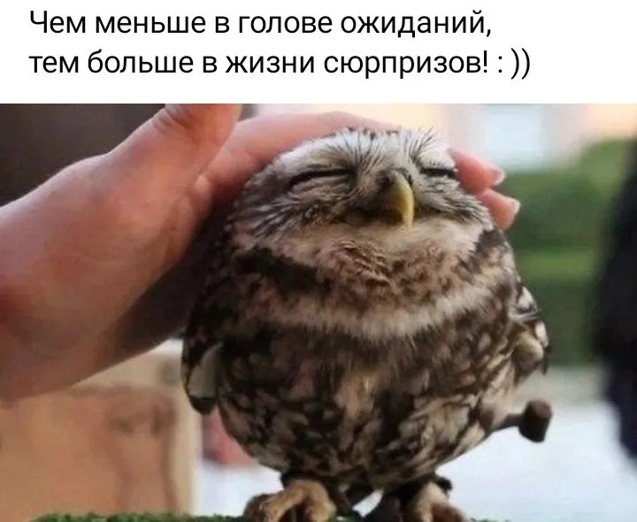 Кафе «У пани Сони»