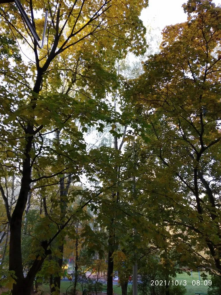 Чайная беседка