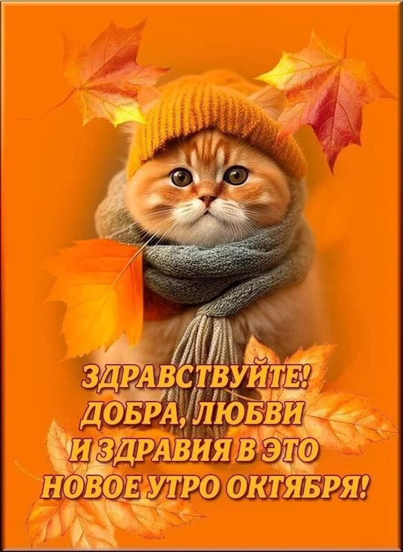 Кафе "У пани Сони"