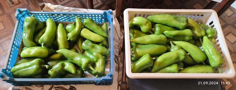 Чайная беседка