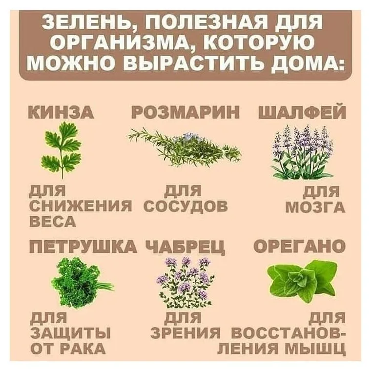 Медицинская инфографика