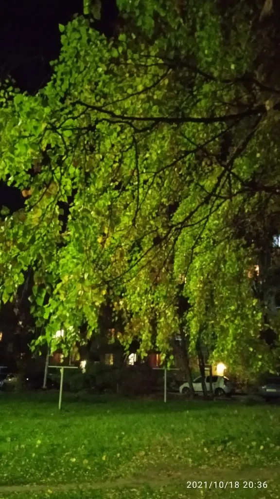 Tapтaлeтки & Ко