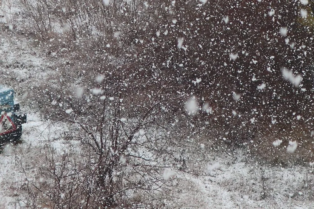 Чайная беседка