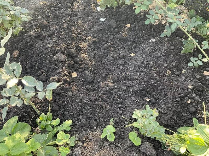 Загородная жизнь - обустройство на своей земле во всем ее разнообразии