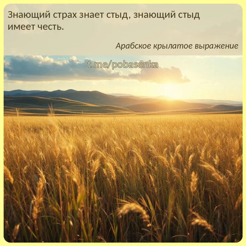 «Знающий страх знает стыд, знающий стыд имеет...» height="550" width="550"