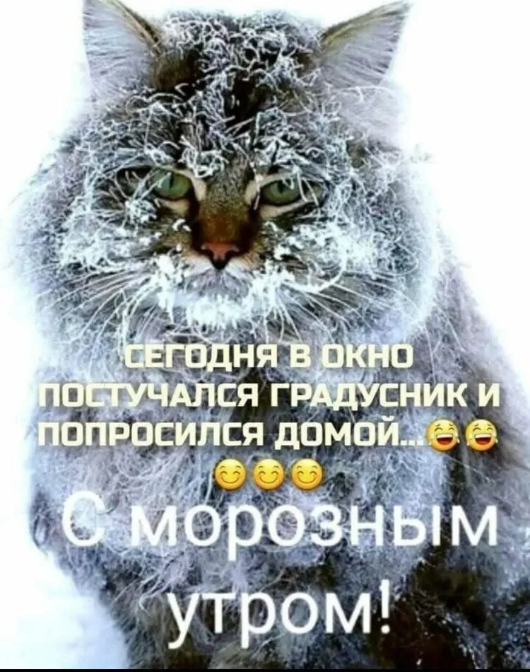 Кафе «У пани Сони»