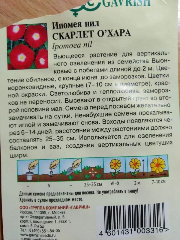 Лютики-цветочки или увлекательное крестьянство