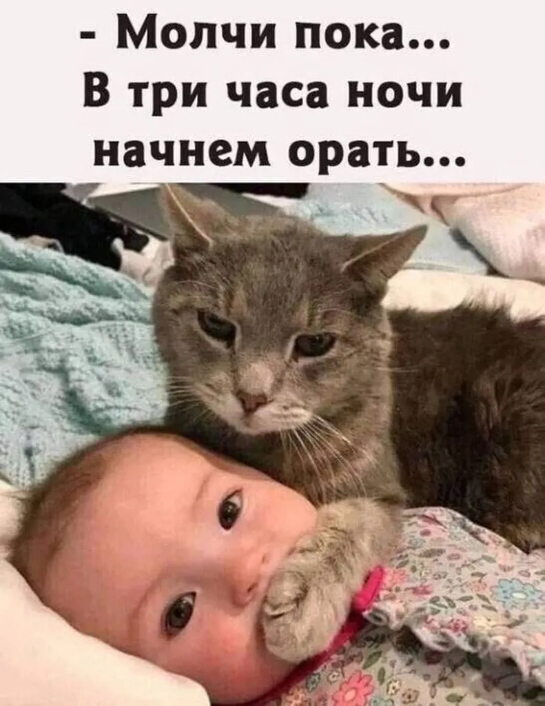 Посмеялся сам - поделись с другом!!!