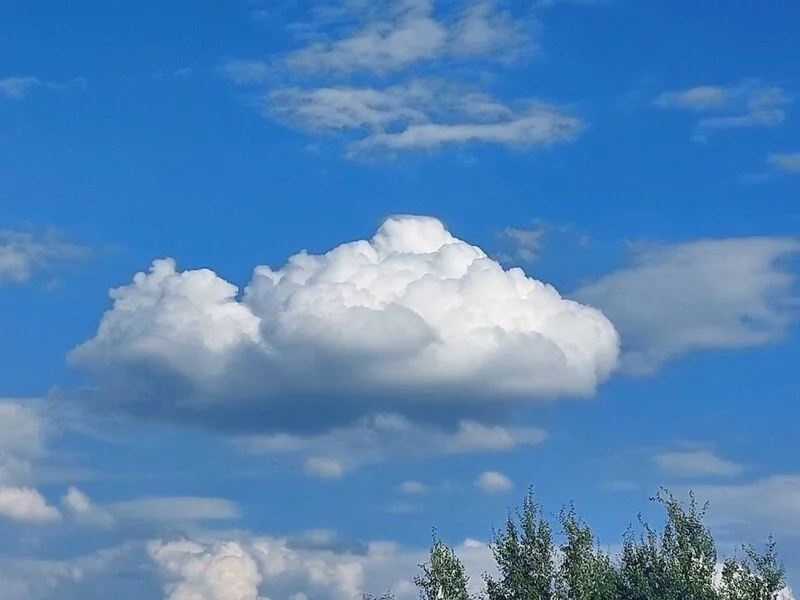 Такое разное небо