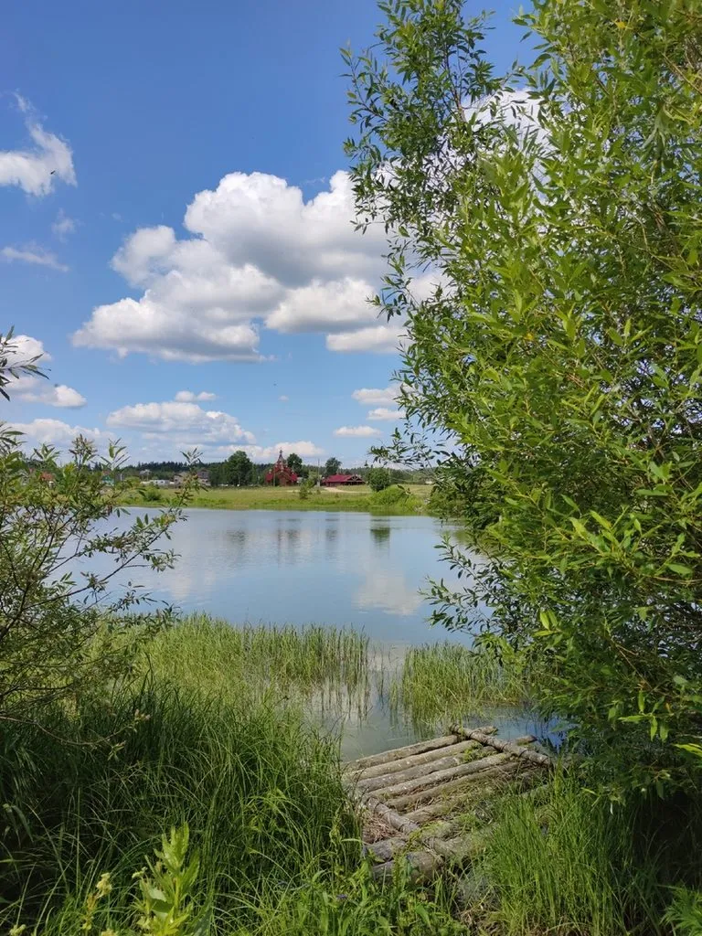 Такое разное небо