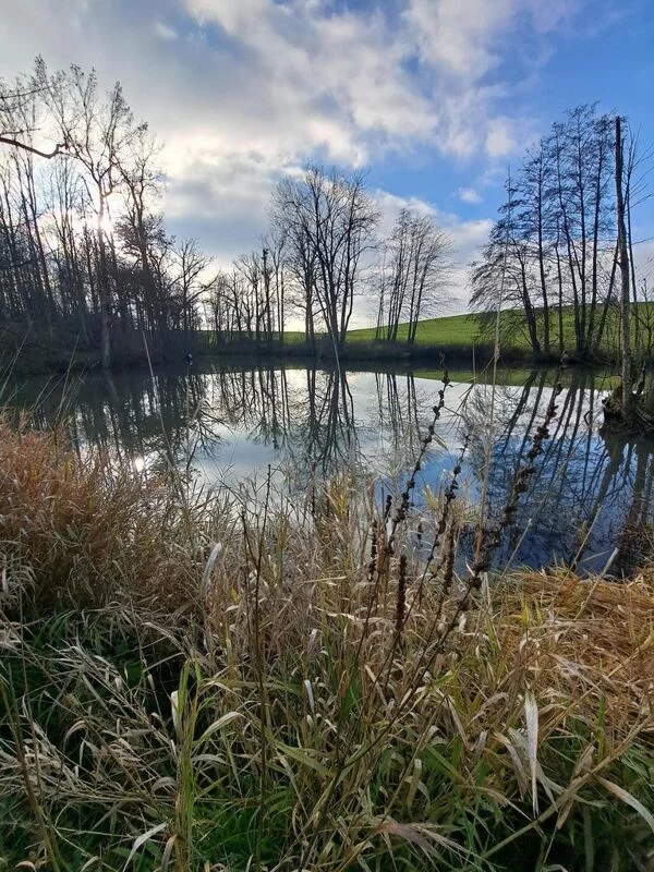 Чайная беседка